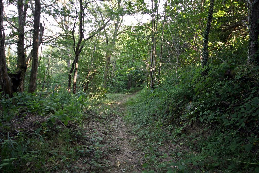 Camping Domaine Vallee Du Tarn Sn Saint-Cirgue Εξωτερικό φωτογραφία