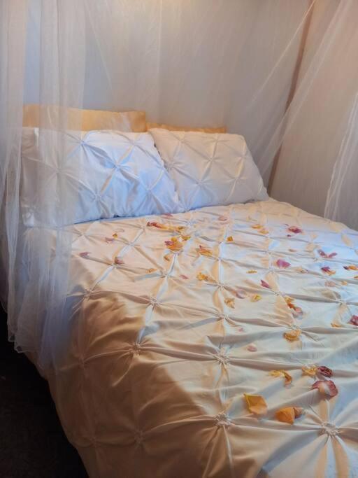 Camping Domaine Vallee Du Tarn Sn Saint-Cirgue Εξωτερικό φωτογραφία